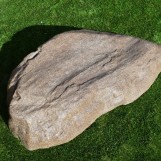 ����� �18